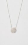 Hen001-silver